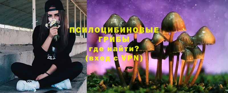 Галлюциногенные грибы Psilocybine cubensis  Заречный 